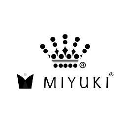 MIYUKI Seed Beads