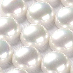 Shell Cabochons