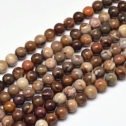 Petrified Wood