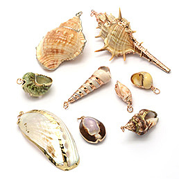 Shell Pendants